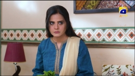 Guddi - Episode 43 - 31st January 2025